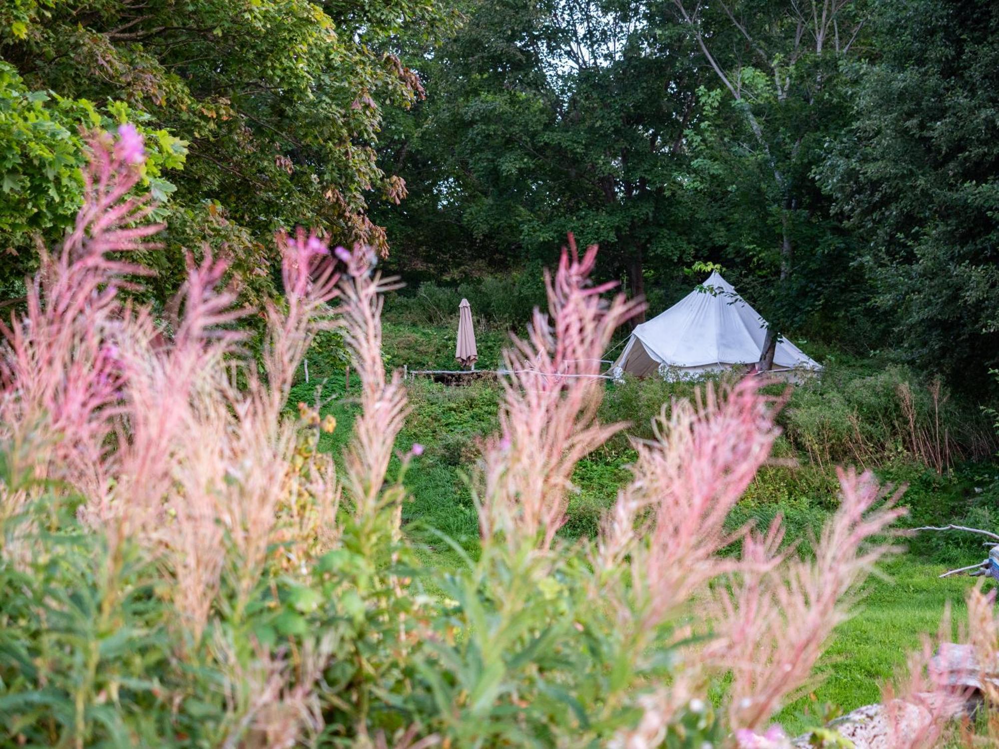 Mereaeaere Glamping Ja Rannamaja Liimala Eksteriør billede